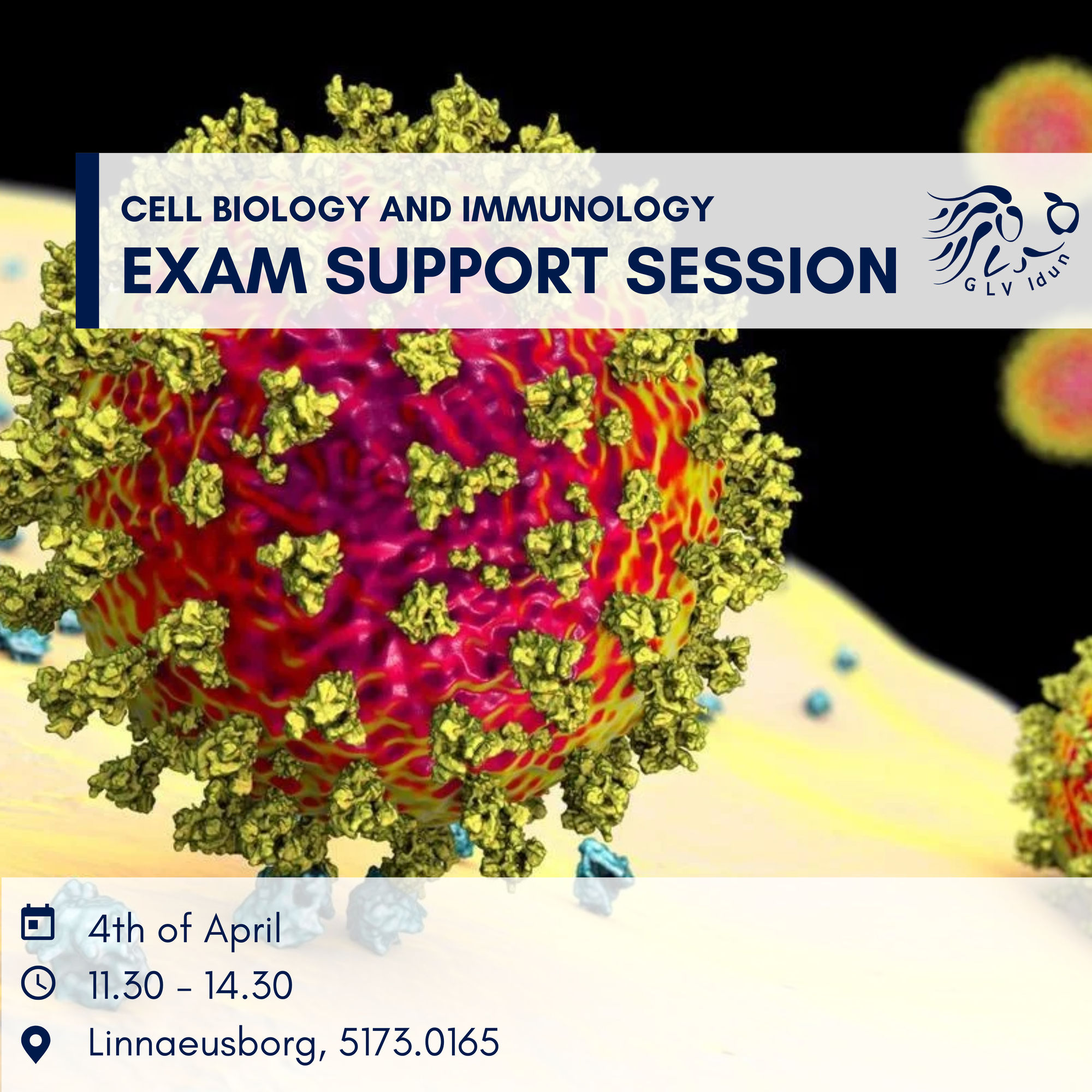 Exam Support Session: Cell Biology and Immunology