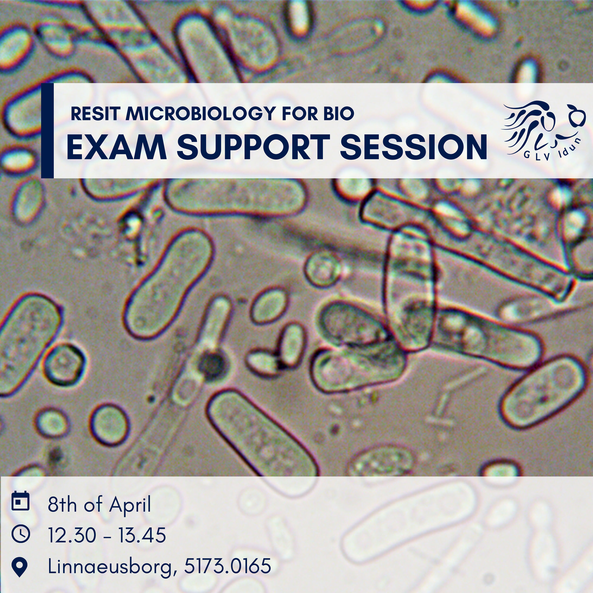 Exam Support Session: Resit Microbiology