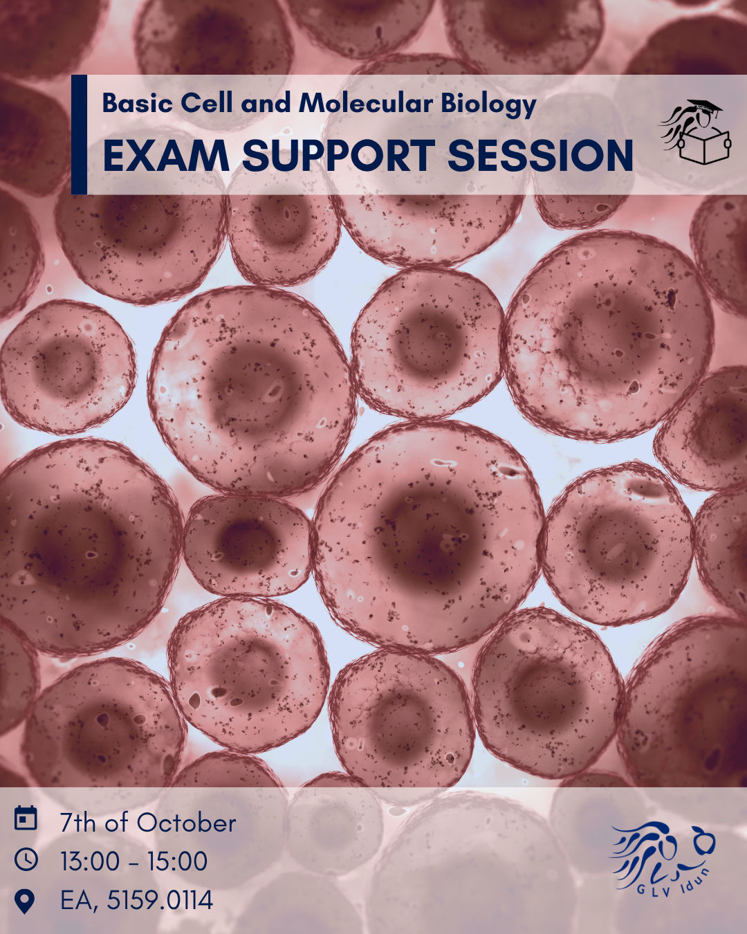 Exam Support Session: Basic Cell & Molecular Biology 