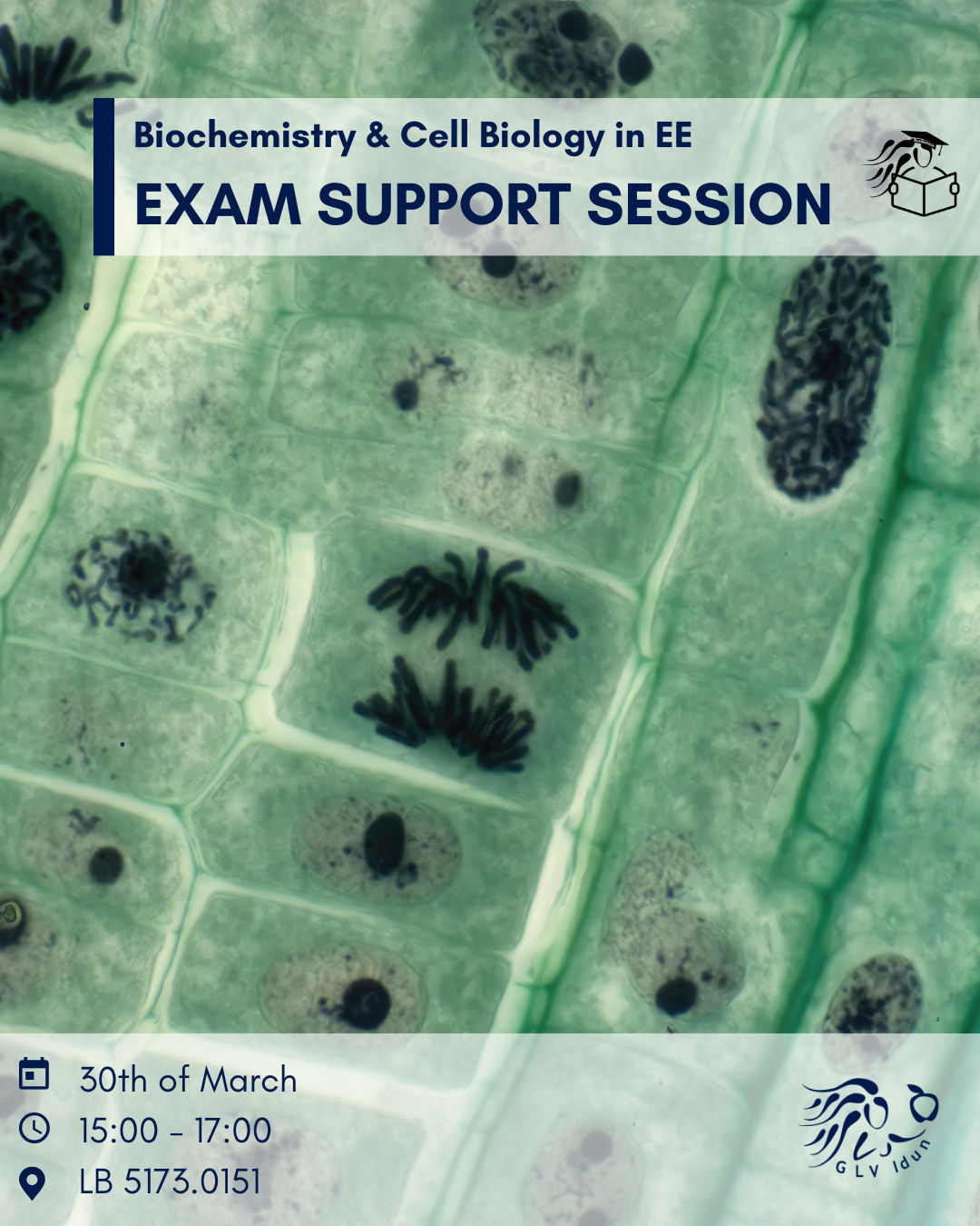 Exam Support Session Biochemistry and Cell Biology in EE