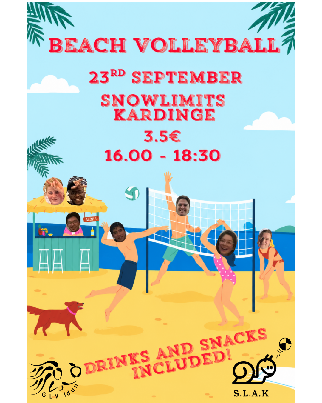 Beach Volleyball Tournament