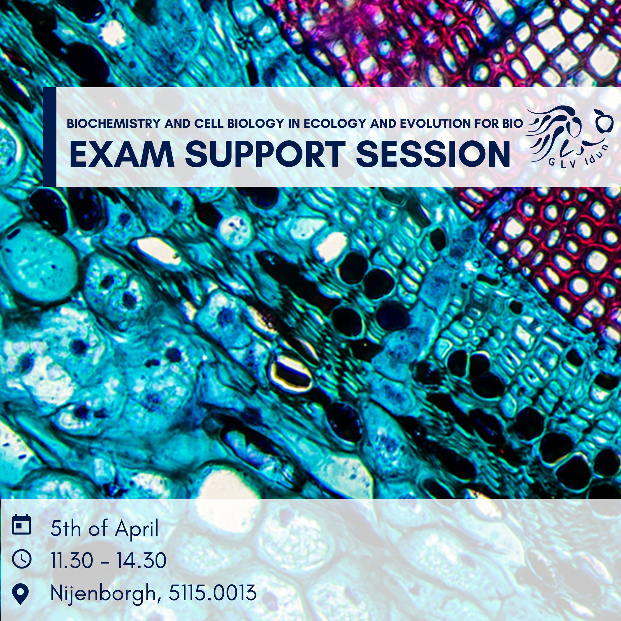 Exam Support Session: Biochemistry and Cell Biology in Ecology and Evolution