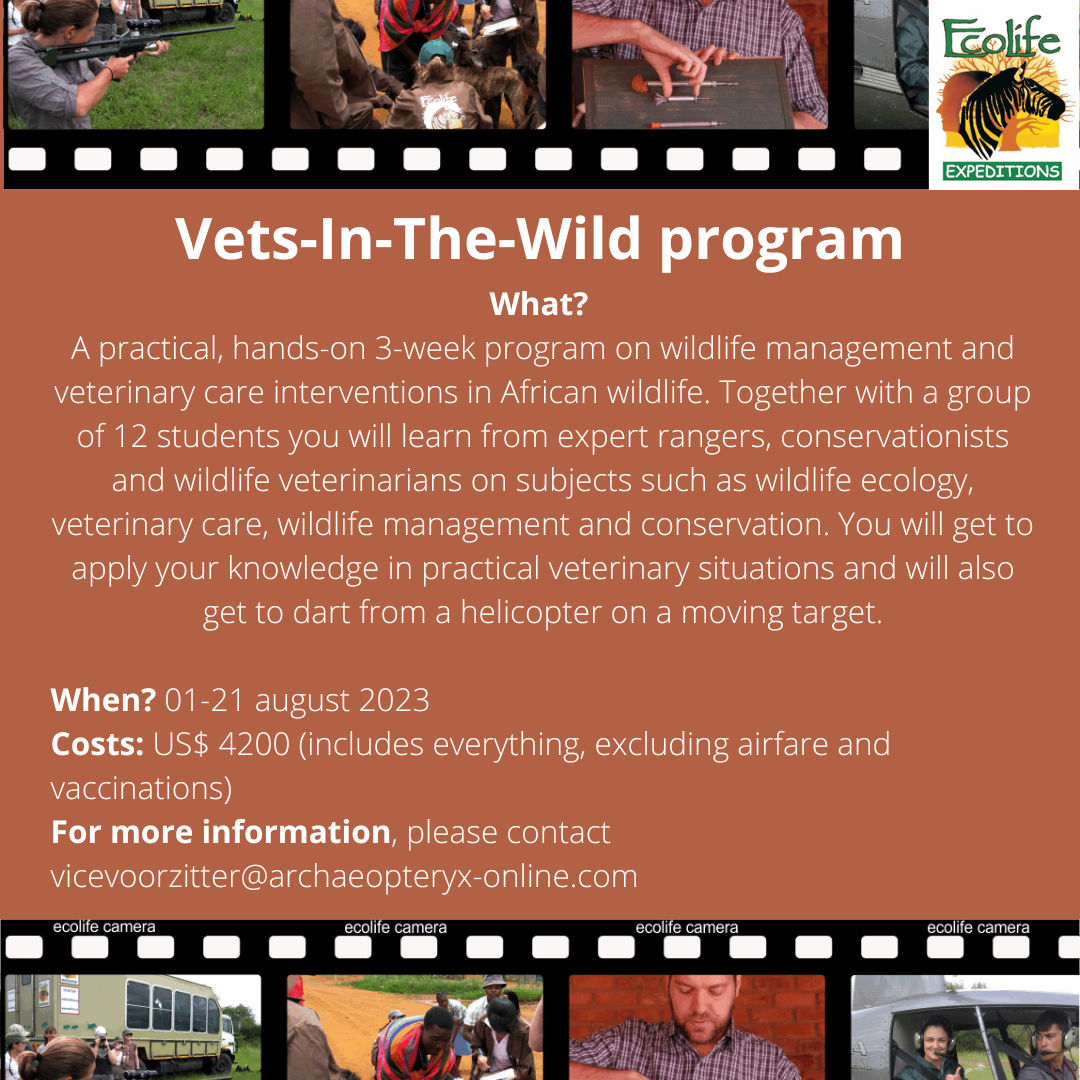 Online Lecture 'Vets-In-The-Wild program'