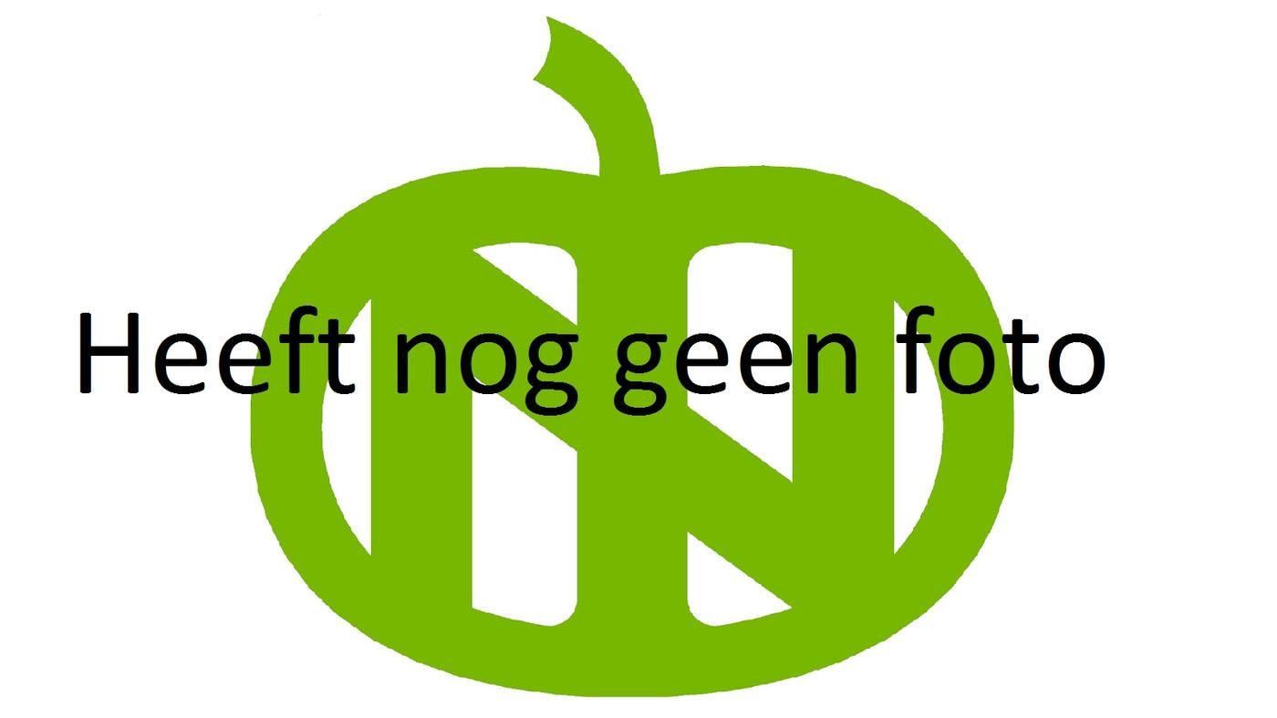 Logo_groen_12_cm_10.JPG