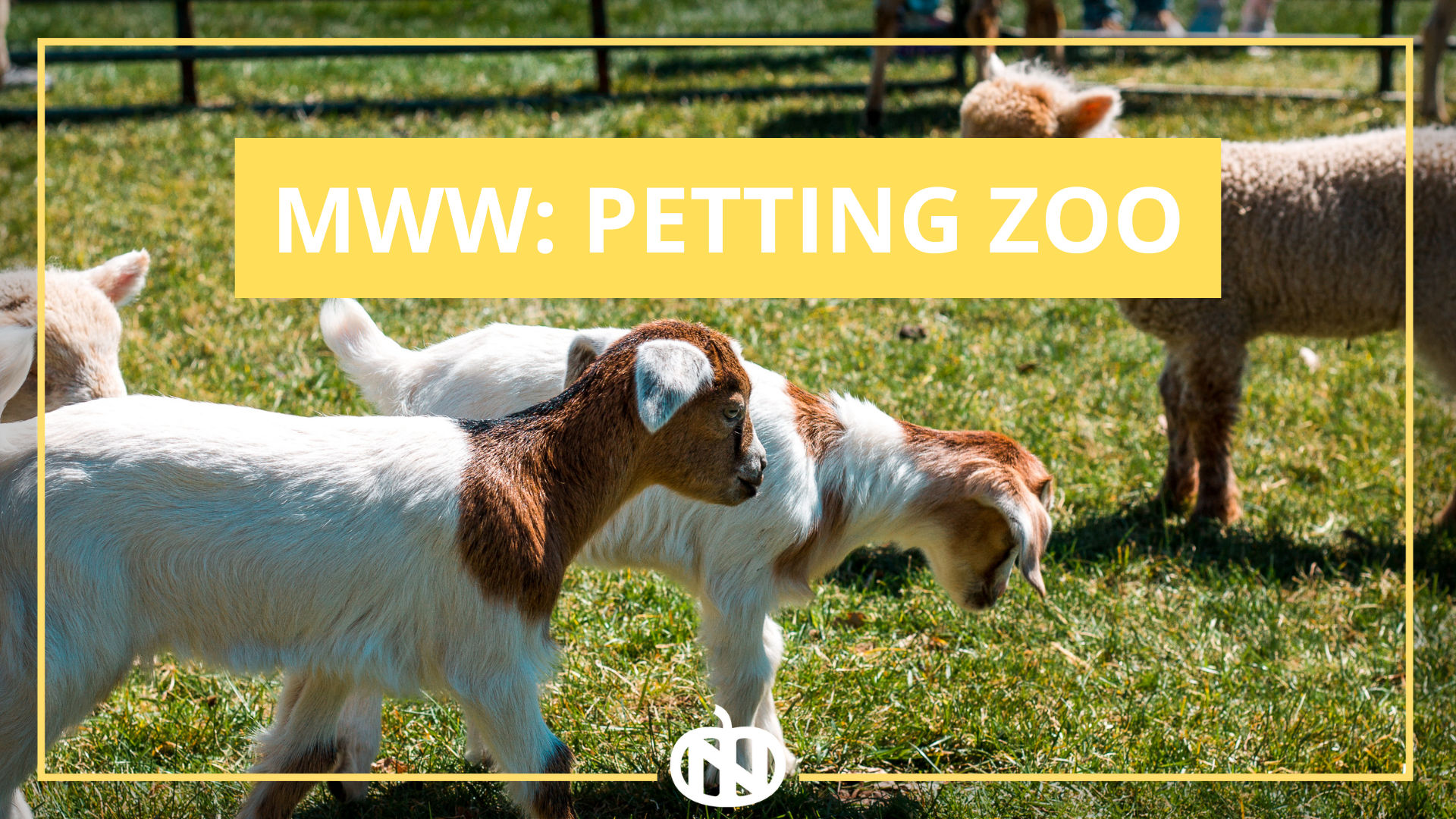 MWW: Petting Zoo