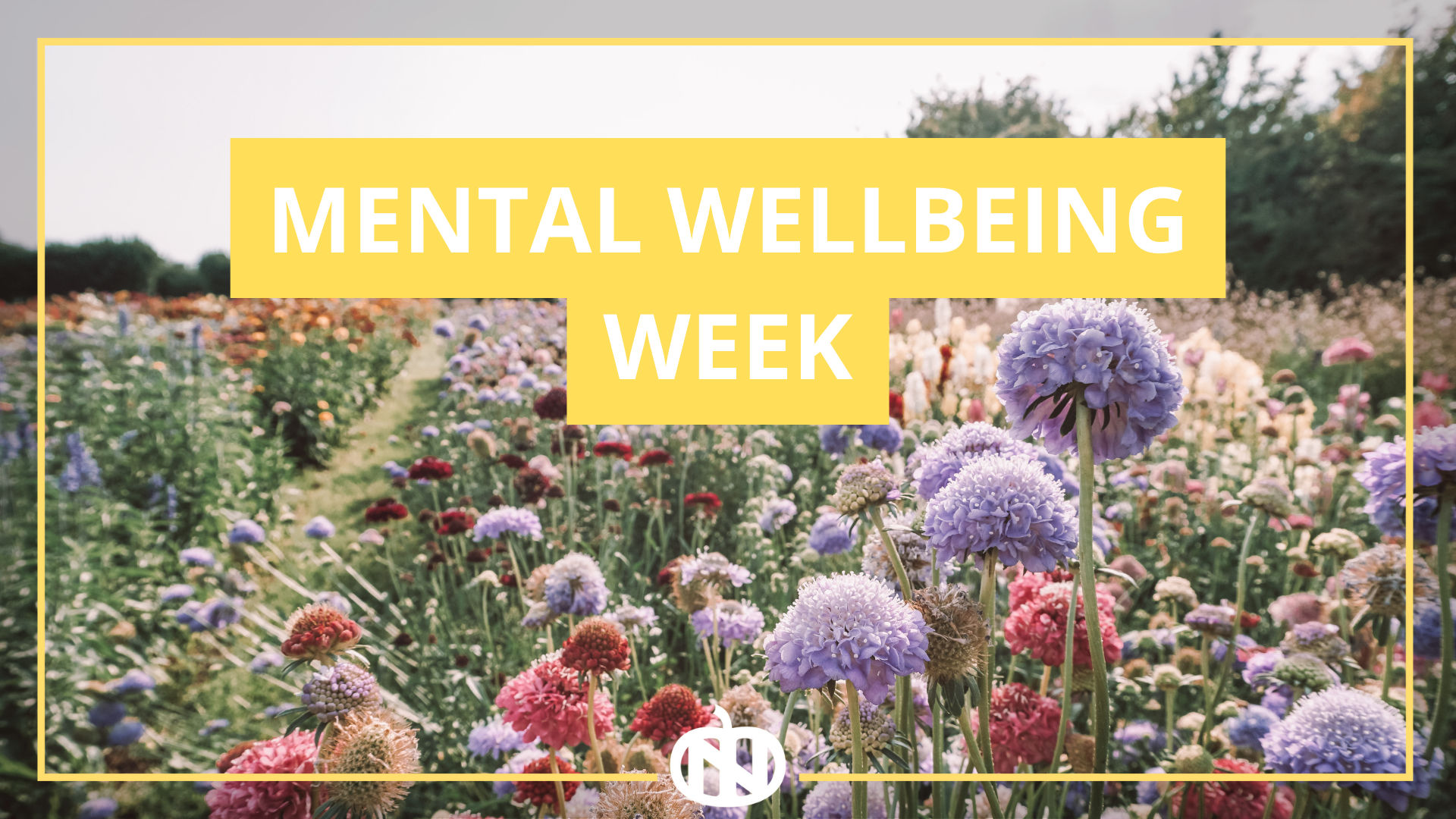 Mental Wellbeing Week