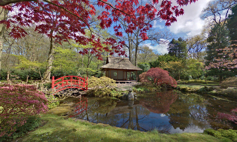 Bezoek aan de Japanse Tuinen van Clingendael