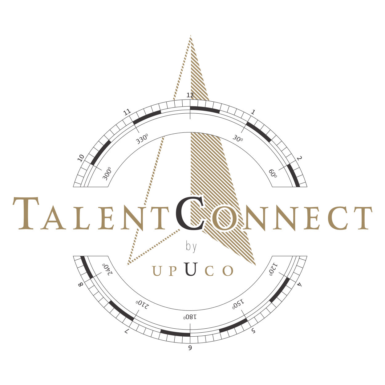 talentconnect-logo-wit.png