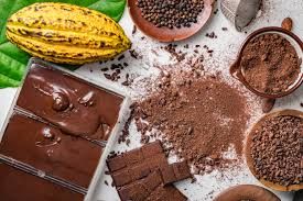 Chocolate workshop