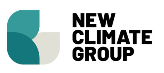 The New Climate Group