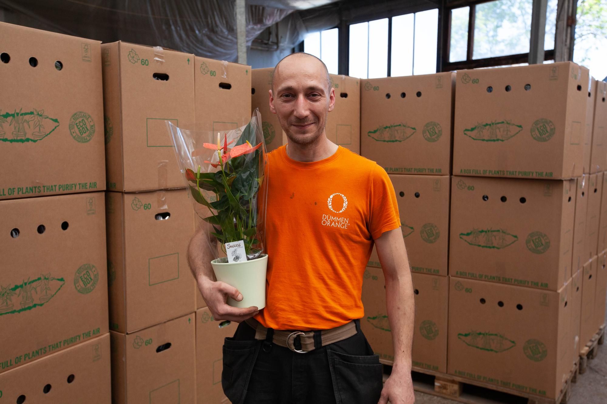 Vindicat kleurt Groningse verzorgingstehuizen Oranje met Anthurium planten op Bevrijdingsdag 