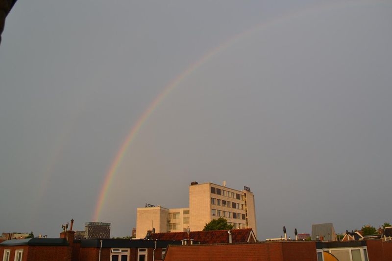 DSC_0099.JPG