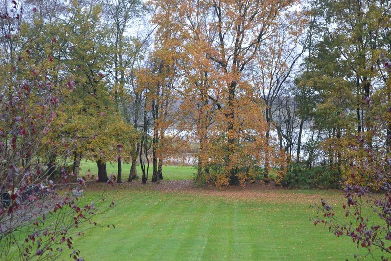 DSC_0931.jpg