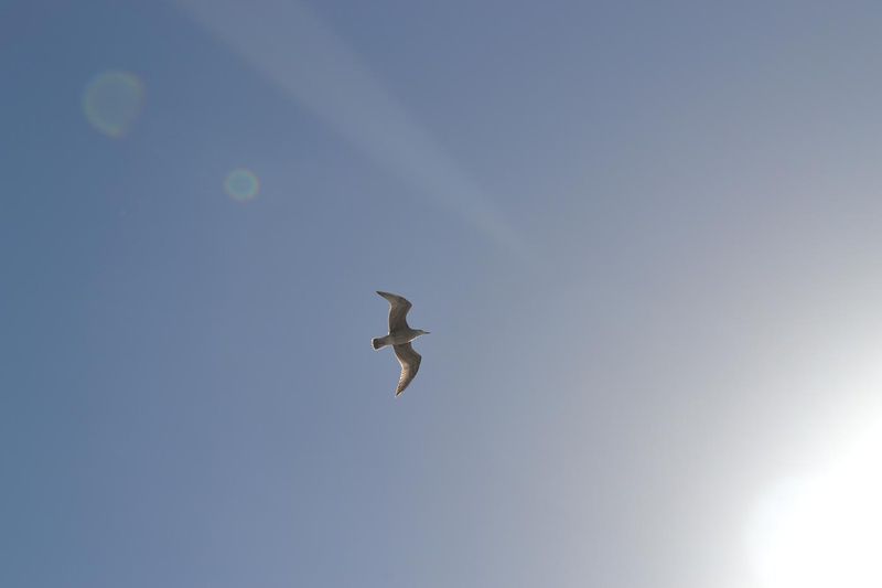 DSC_0889.JPG