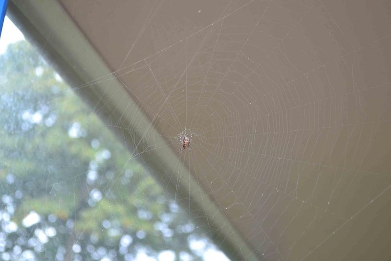 DSC_0445.jpg