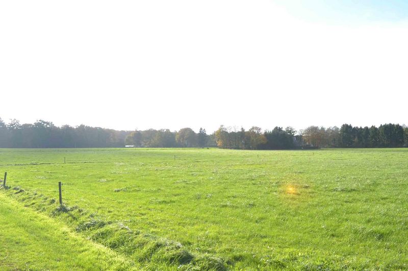 DSC_0830.jpg