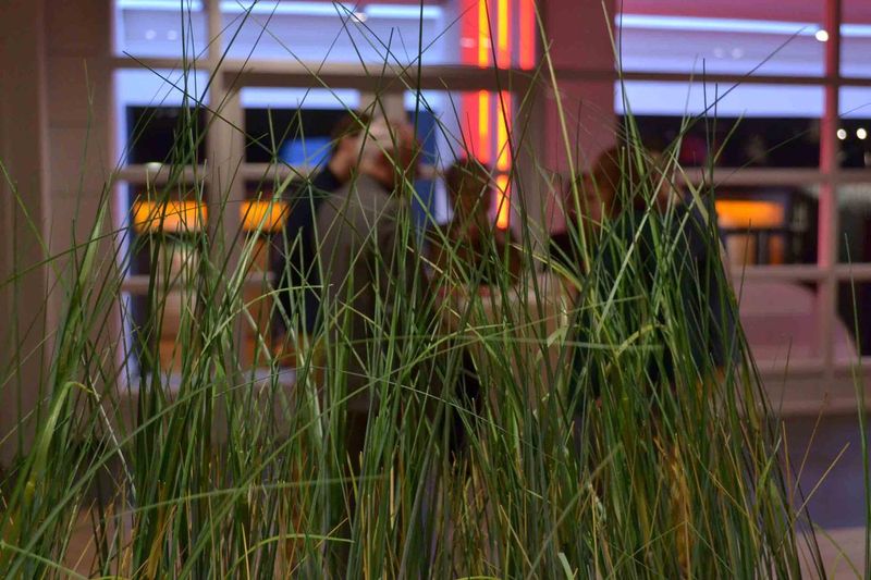 DSC_0663.jpg