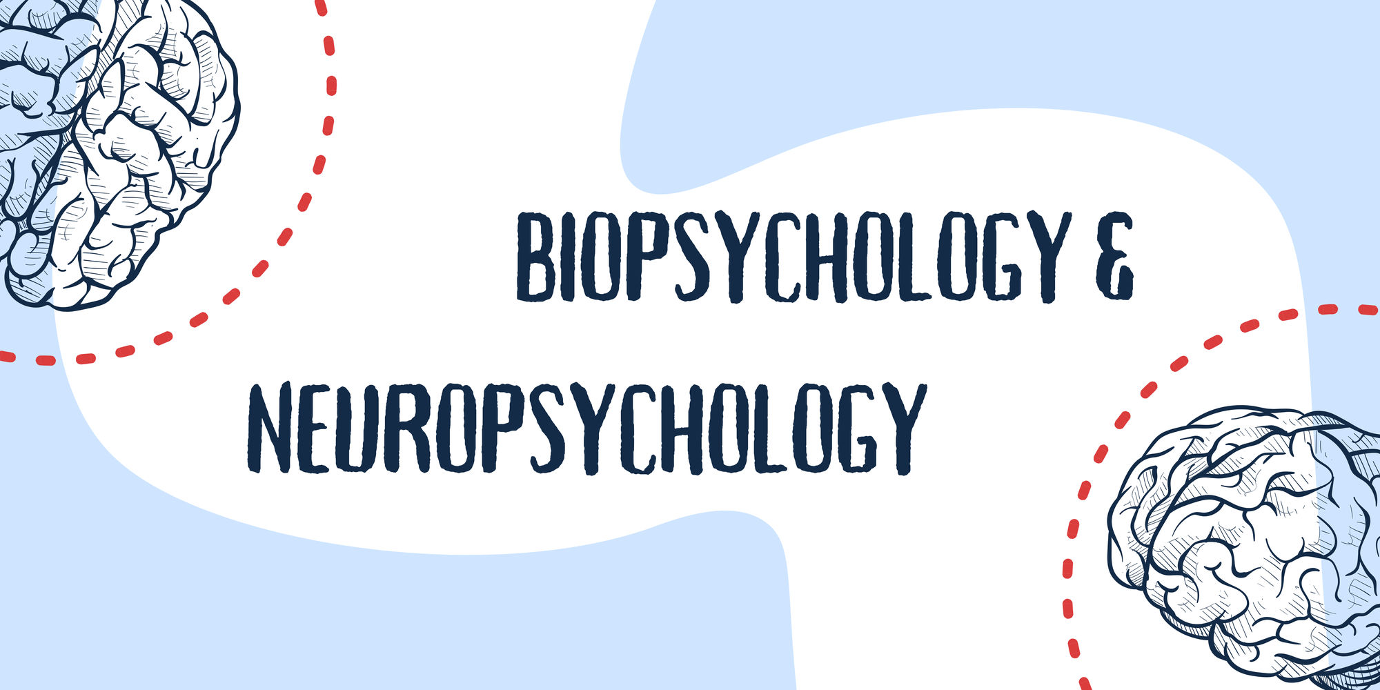 Blue_Red_and_White_Illustrated_Brain_Presentation_Medium_Banner_US_Landscape.png