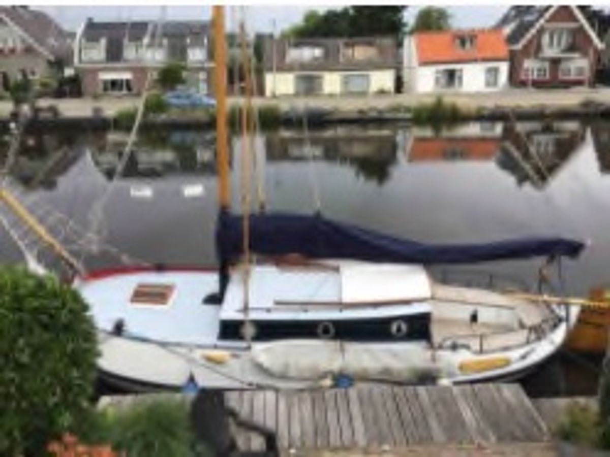 Vollenhovense_bol_t_Bruine_Leven.jpeg
