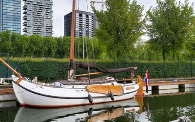 Hans_van den Bosch_20260514_090359.jpg